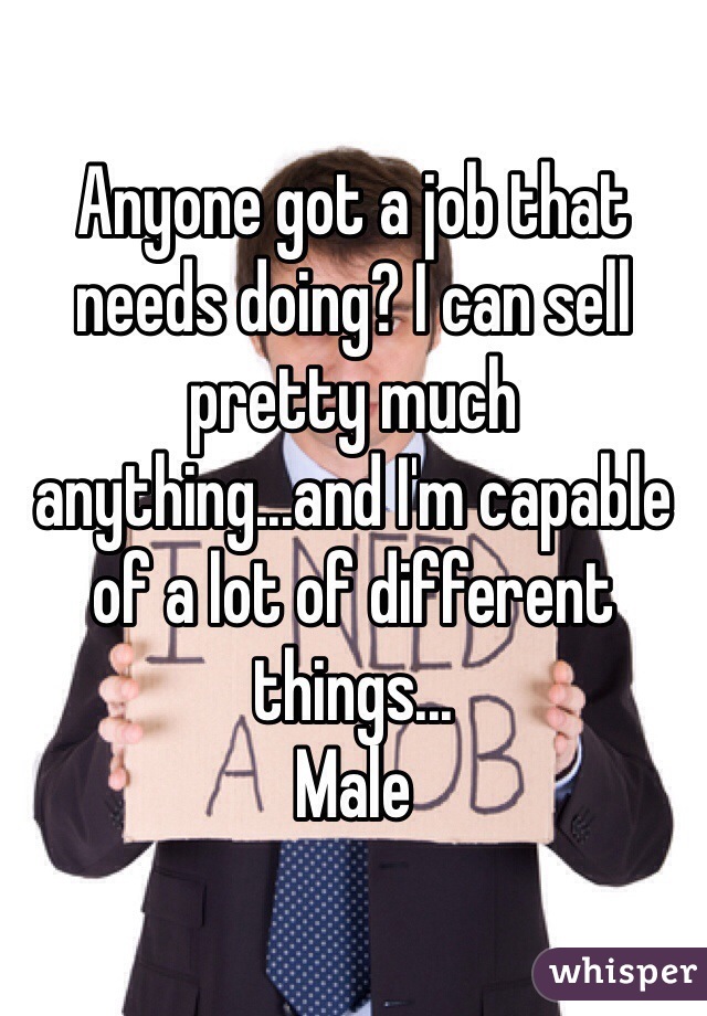 Anyone got a job that needs doing? I can sell pretty much anything...and I'm capable of a lot of different things...
Male