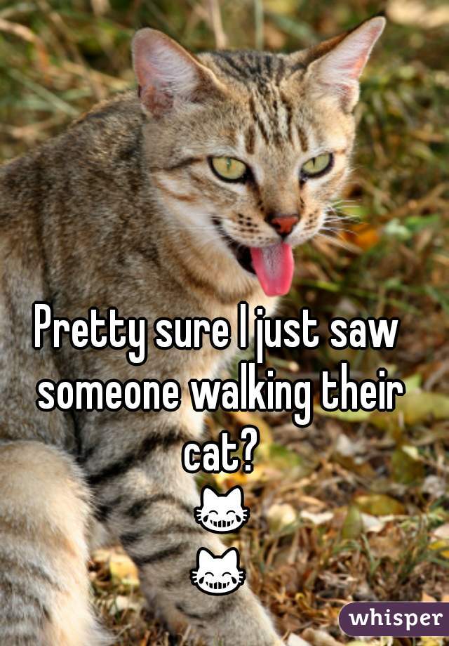 Pretty sure I just saw someone walking their cat? 😹😹