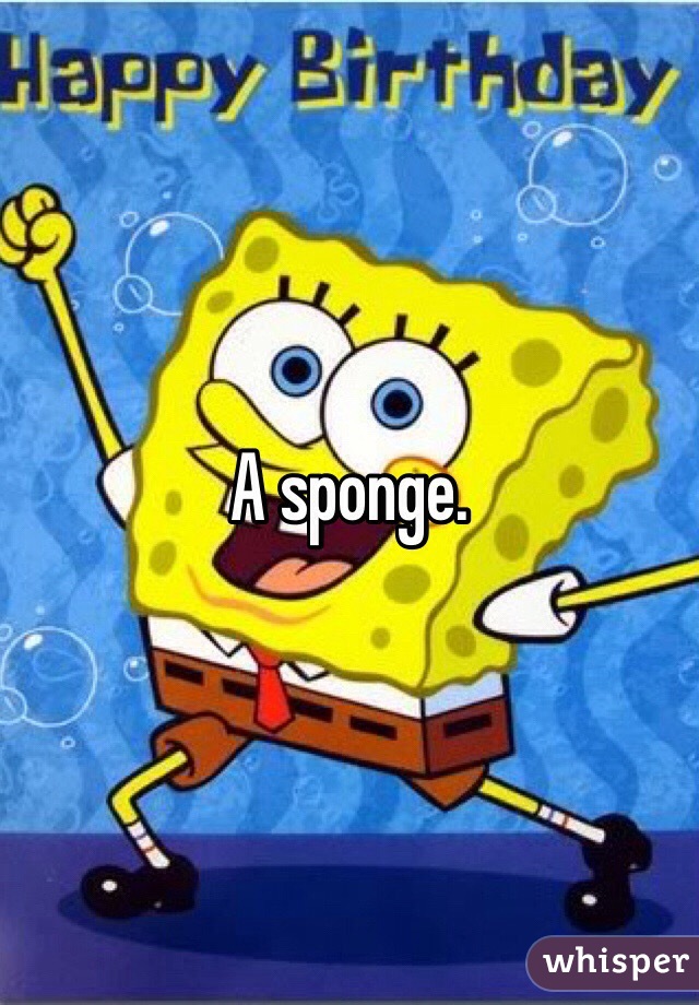 A sponge. 