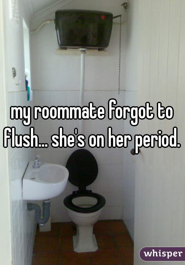 my roommate forgot to flush... she's on her period. 