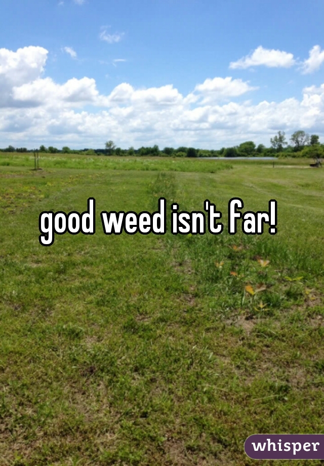 good weed isn't far! 