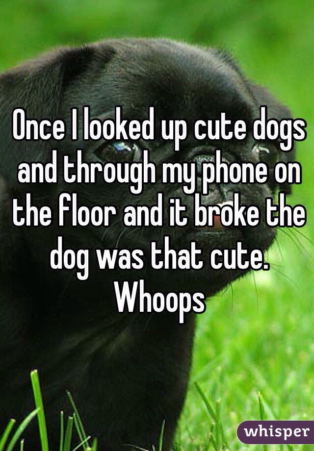 Once I looked up cute dogs and through my phone on the floor and it broke the dog was that cute. Whoops