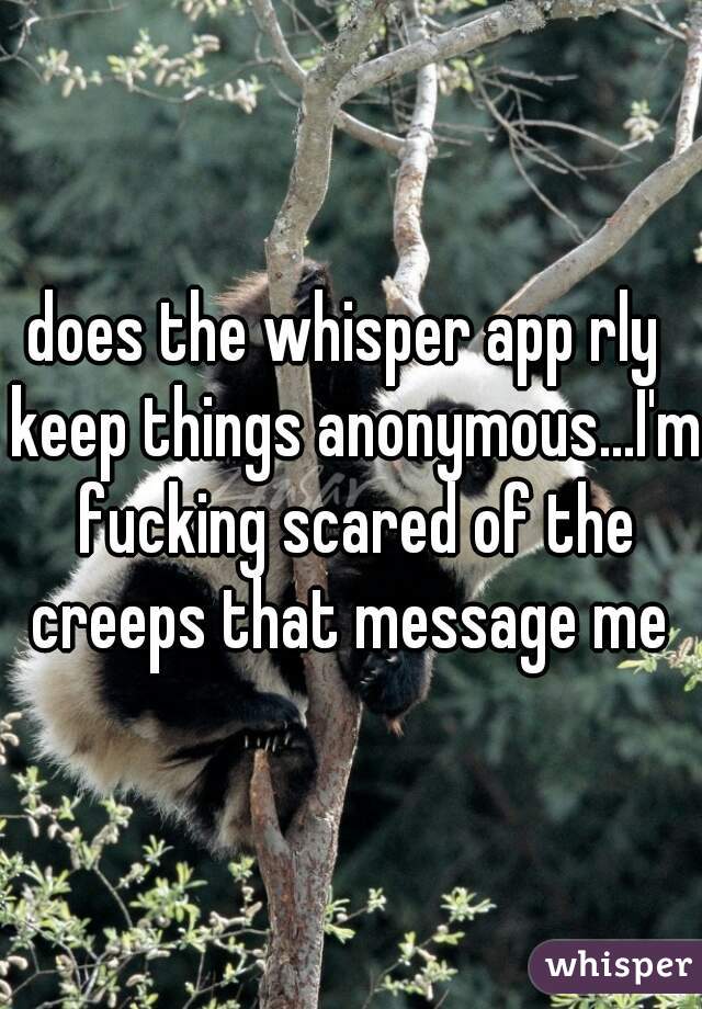 does the whisper app rly  keep things anonymous...I'm fucking scared of the creeps that message me 