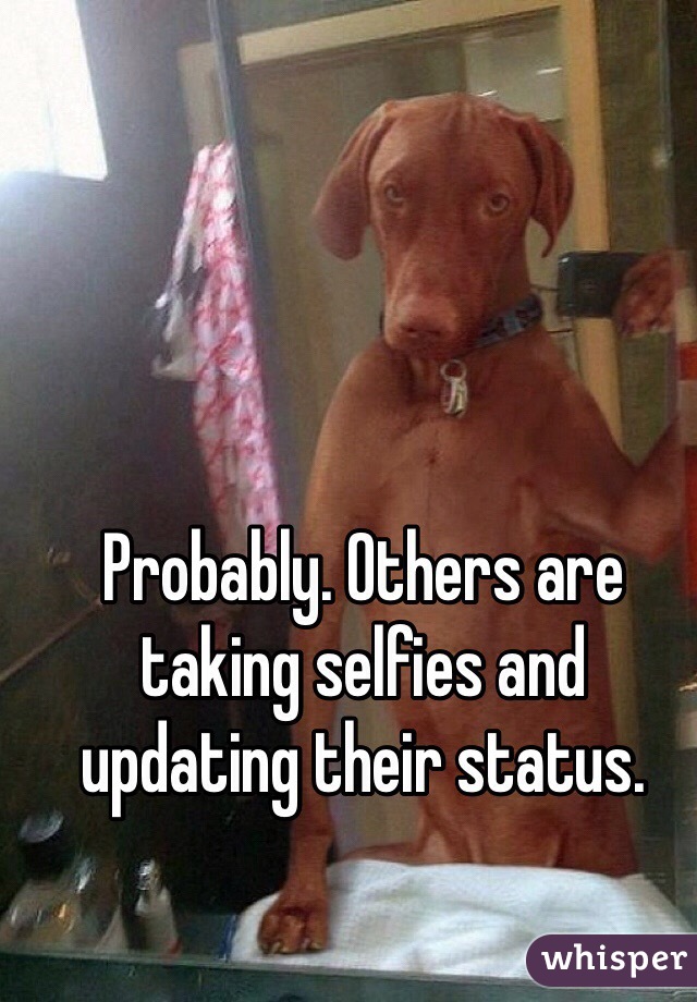 Probably. Others are taking selfies and updating their status. 