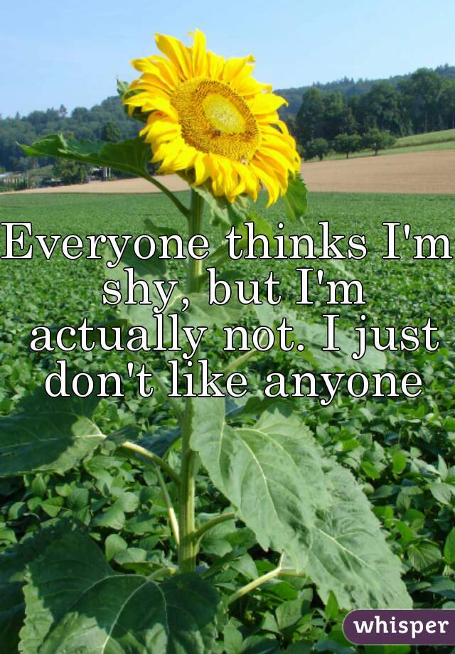 Everyone thinks I'm shy, but I'm actually not. I just don't like anyone