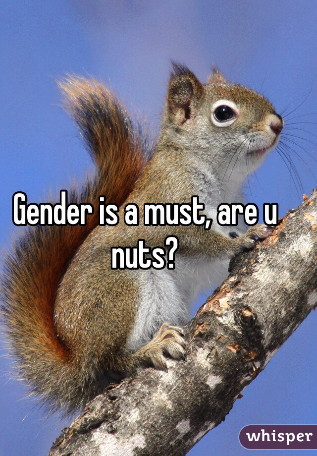 Gender is a must, are u nuts?