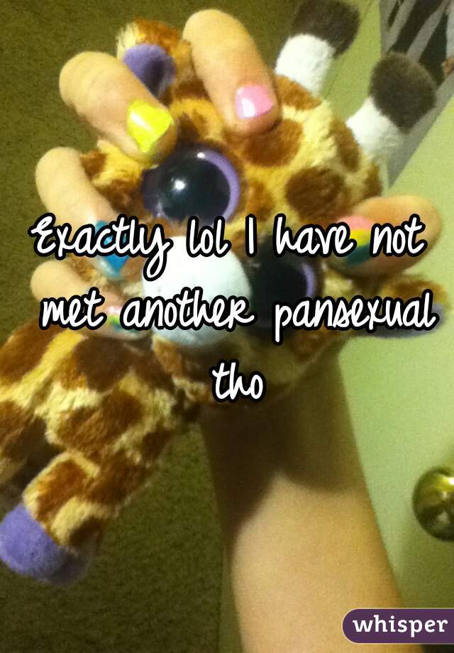 Exactly lol I have not met another pansexual tho
