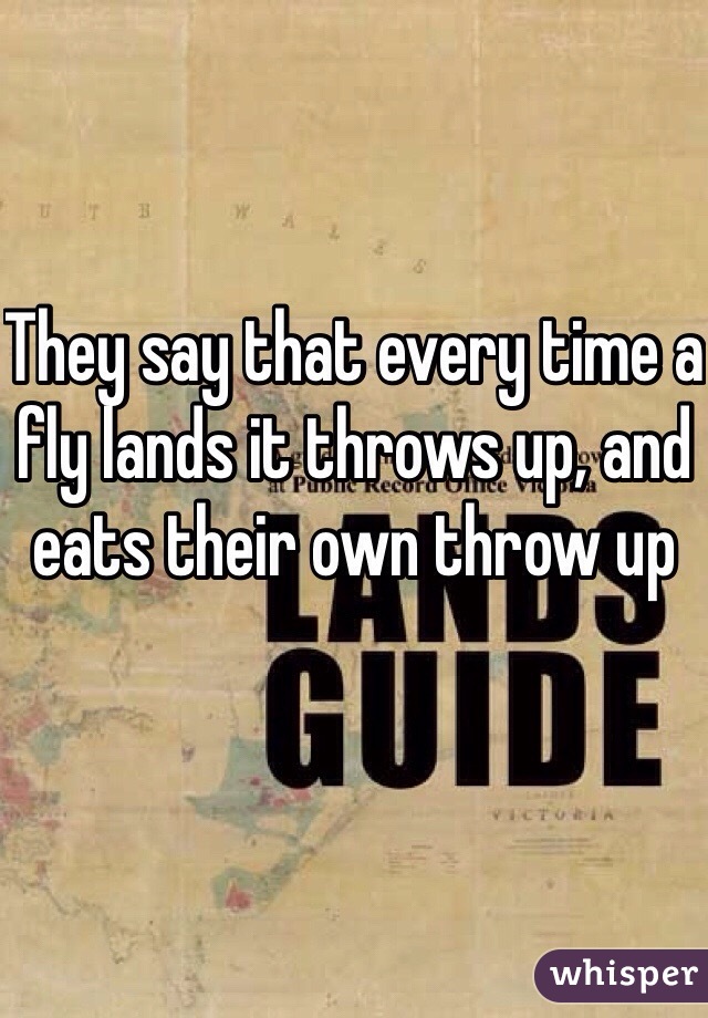 They say that every time a fly lands it throws up, and eats their own throw up