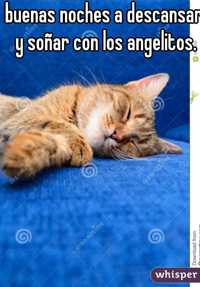 buenas noches a descansar y soñar con los angelitos.