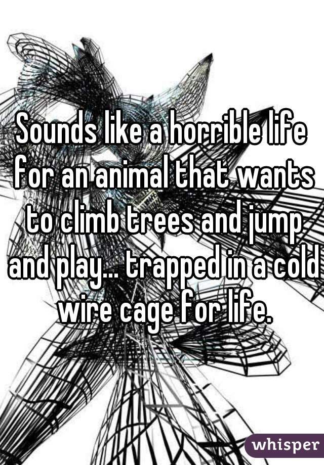 Sounds like a horrible life for an animal that wants to climb trees and jump and play... trapped in a cold wire cage for life.