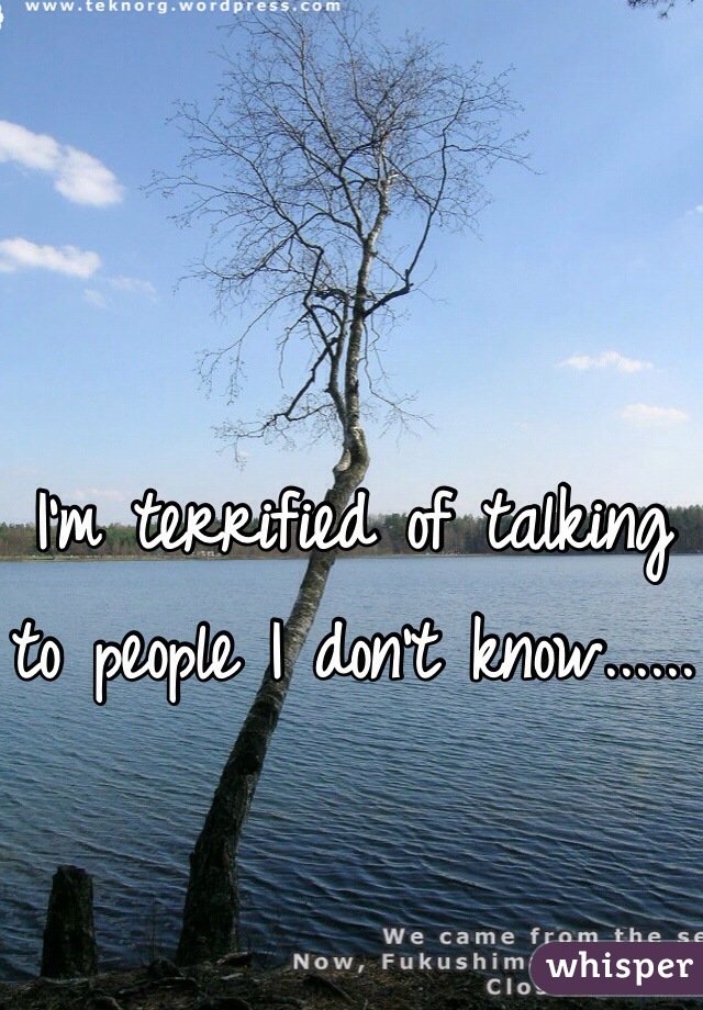 I'm terrified of talking to people I don't know......