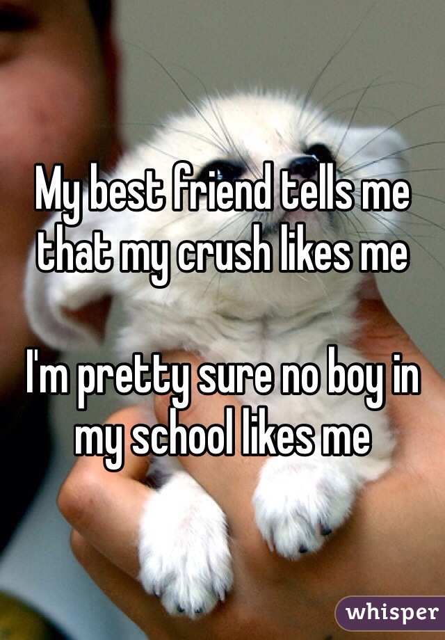 My best friend tells me that my crush likes me 

I'm pretty sure no boy in my school likes me