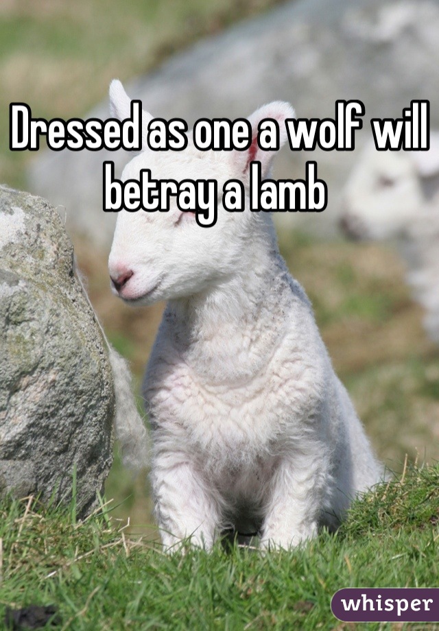 Dressed as one a wolf will betray a lamb 