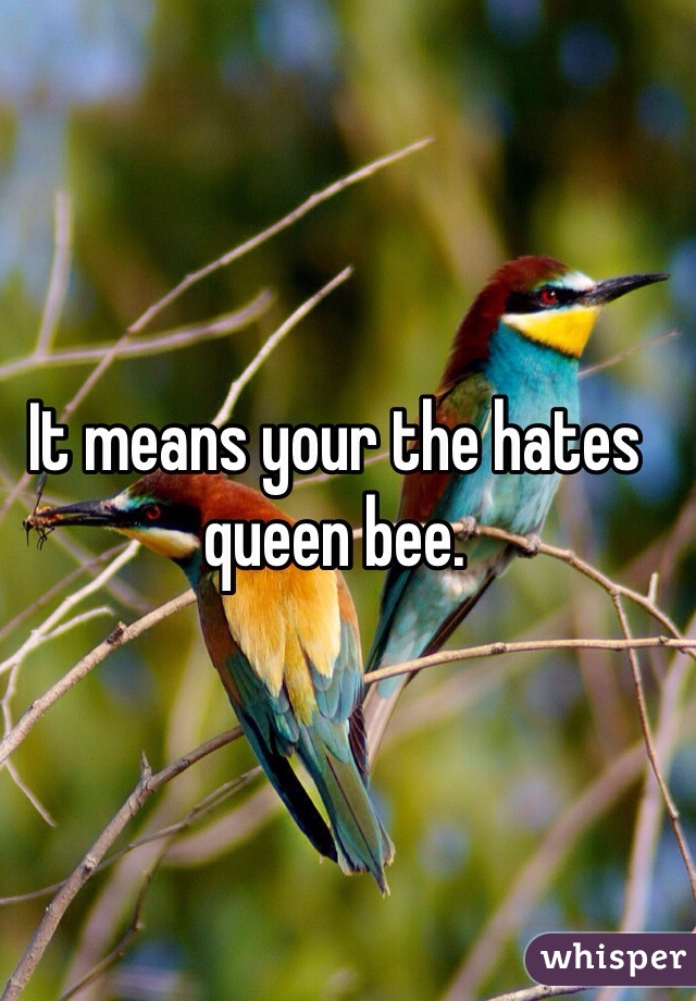 It means your the hates queen bee. 