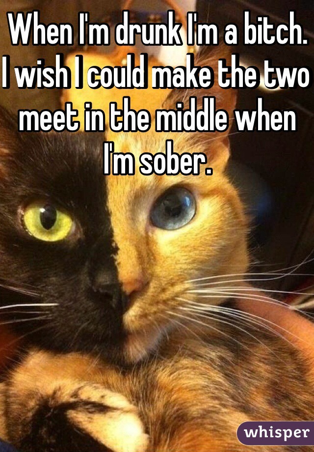 When I'm drunk I'm a bitch. I wish I could make the two meet in the middle when I'm sober.