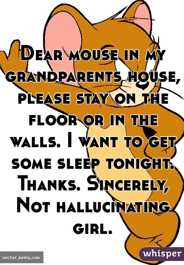 Dear mouse in my grandparents house, please stay on the floor or in the walls. I want to get some sleep tonight. Thanks. Sincerely, 
Not hallucinating girl. 