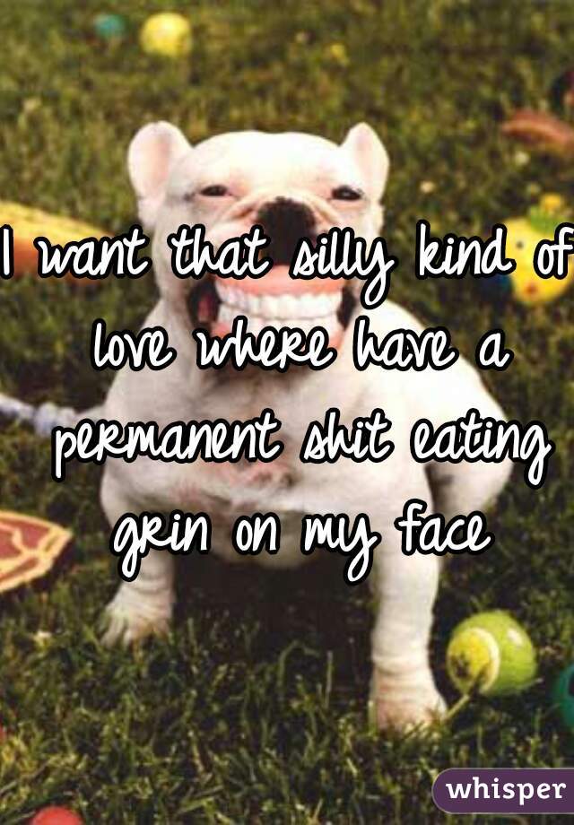 I want that silly kind of love where have a permanent shit eating grin on my face