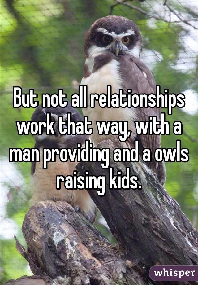 But not all relationships work that way, with a man providing and a owls raising kids.