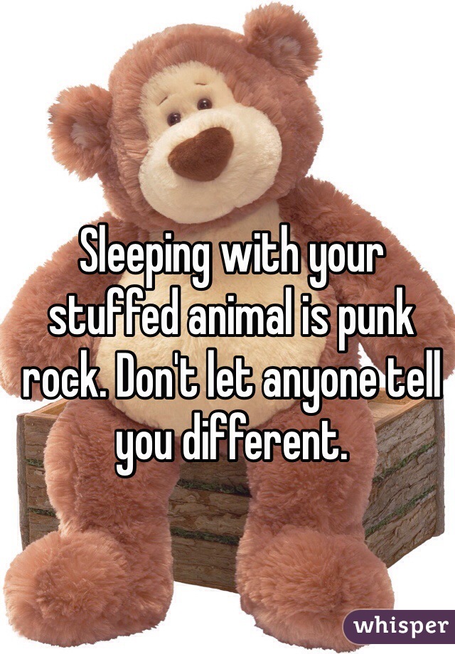 Sleeping with your stuffed animal is punk rock. Don't let anyone tell you different. 