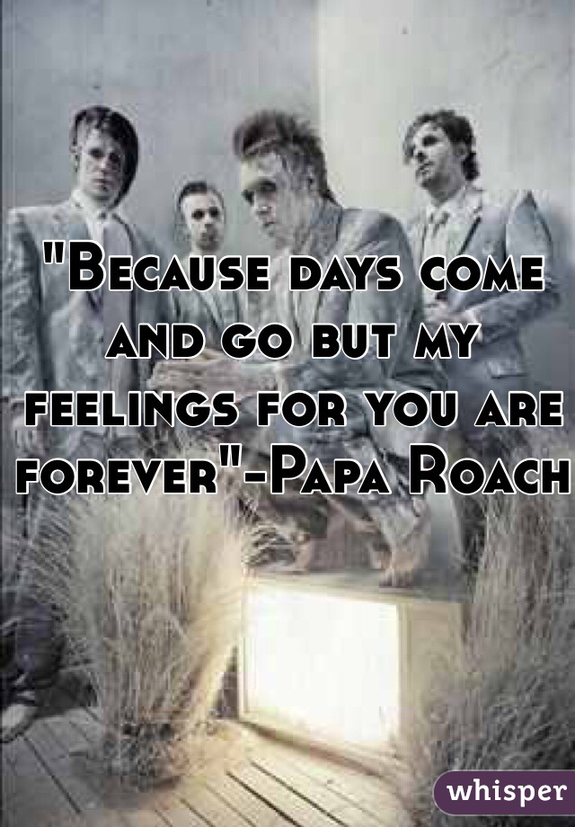 "Because days come and go but my feelings for you are forever"-Papa Roach