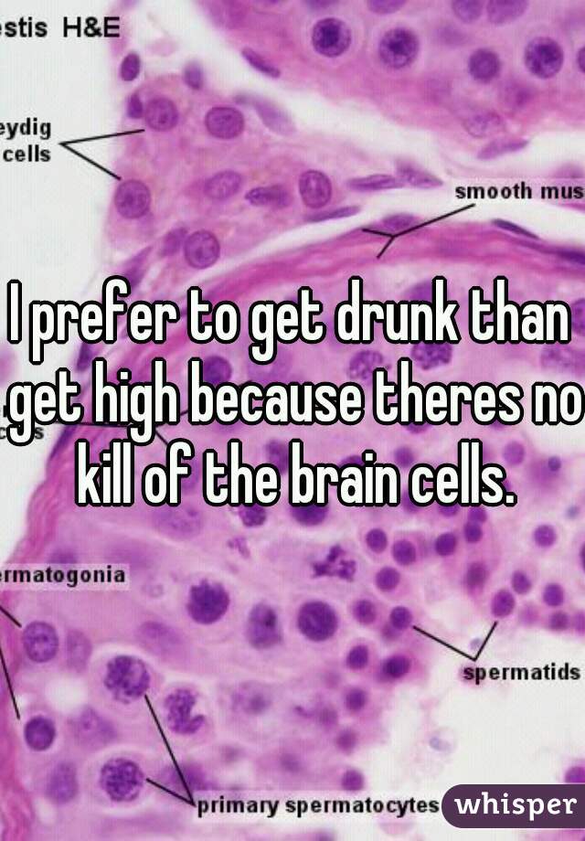 I prefer to get drunk than get high because theres no kill of the brain cells.