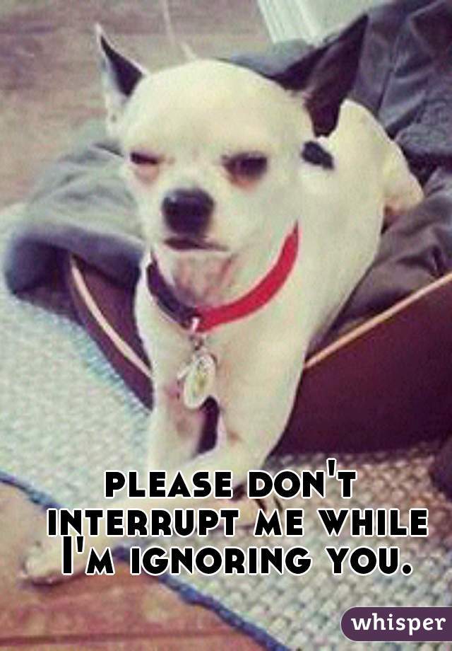 please don't interrupt me while I'm ignoring you.