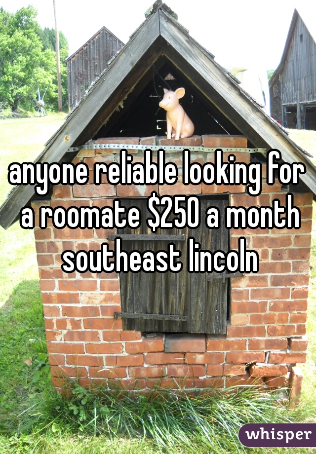 anyone reliable looking for a roomate $250 a month southeast lincoln