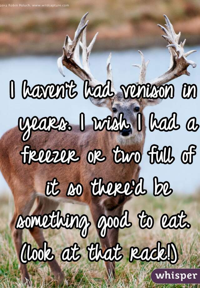 I haven't had venison in years. I wish I had a freezer or two full of it so there'd be something good to eat. 
(look at that rack!) 