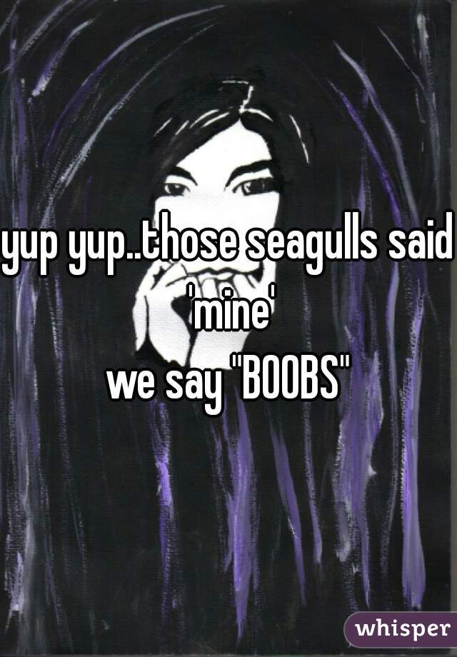 yup yup..those seagulls said 'mine'
we say "BOOBS"