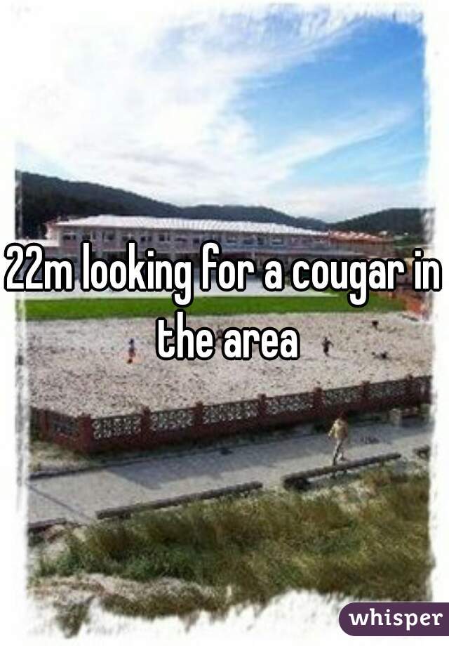 22m looking for a cougar in the area