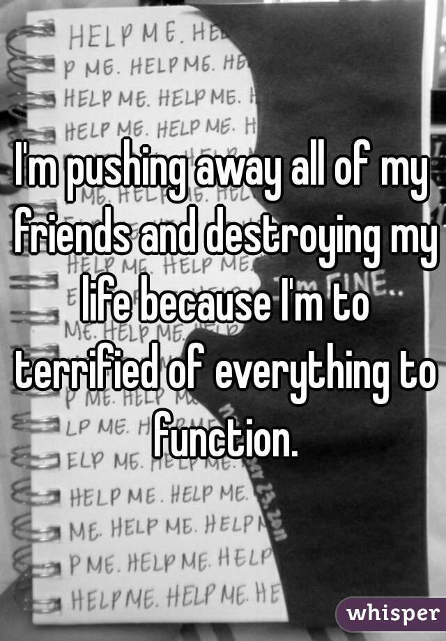 I'm pushing away all of my friends and destroying my life because I'm to terrified of everything to function.