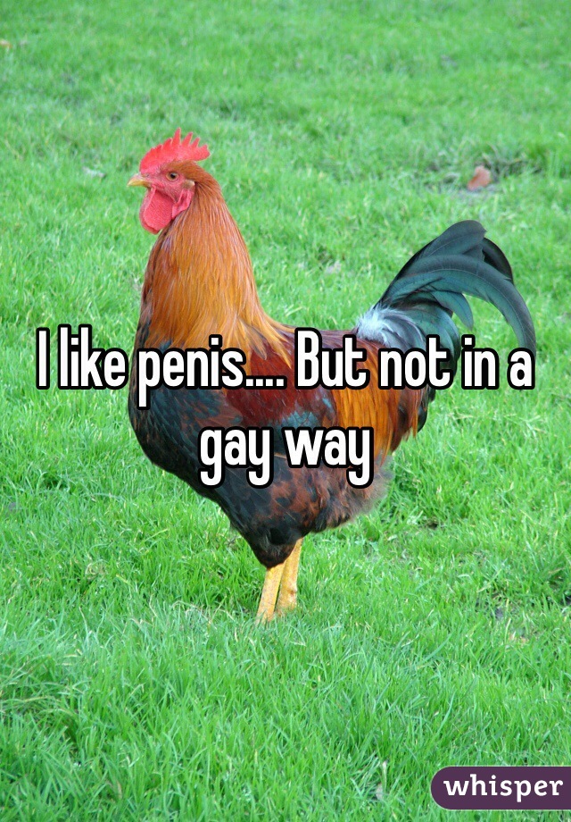 I like penis.... But not in a gay way