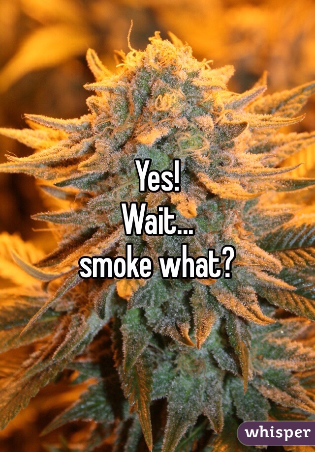 Yes!
Wait...
smoke what?