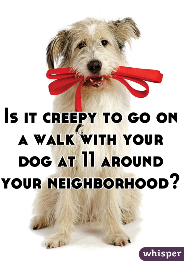 Is it creepy to go on a walk with your dog at 11 around your neighborhood?