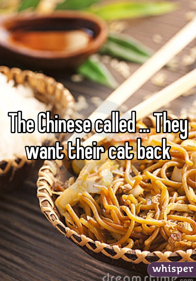 The Chinese called ... They want their cat back