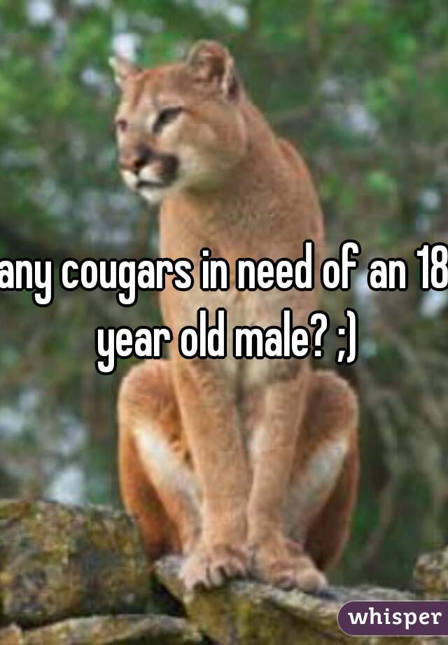 any cougars in need of an 18 year old male? ;)