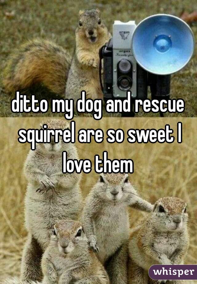 ditto my dog and rescue squirrel are so sweet I love them 