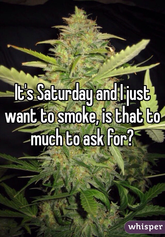 It's Saturday and I just want to smoke, is that to much to ask for?