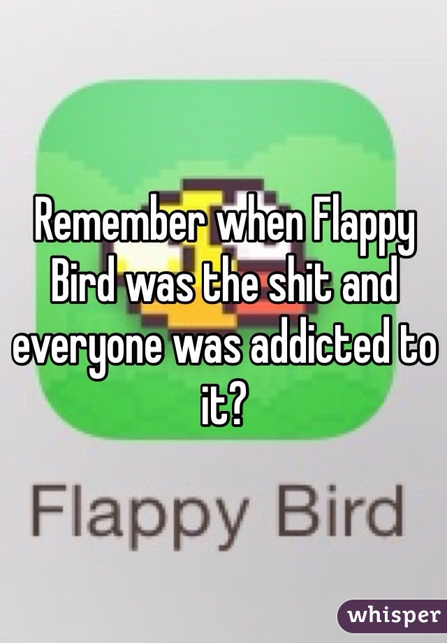 Remember when Flappy Bird was the shit and everyone was addicted to it?