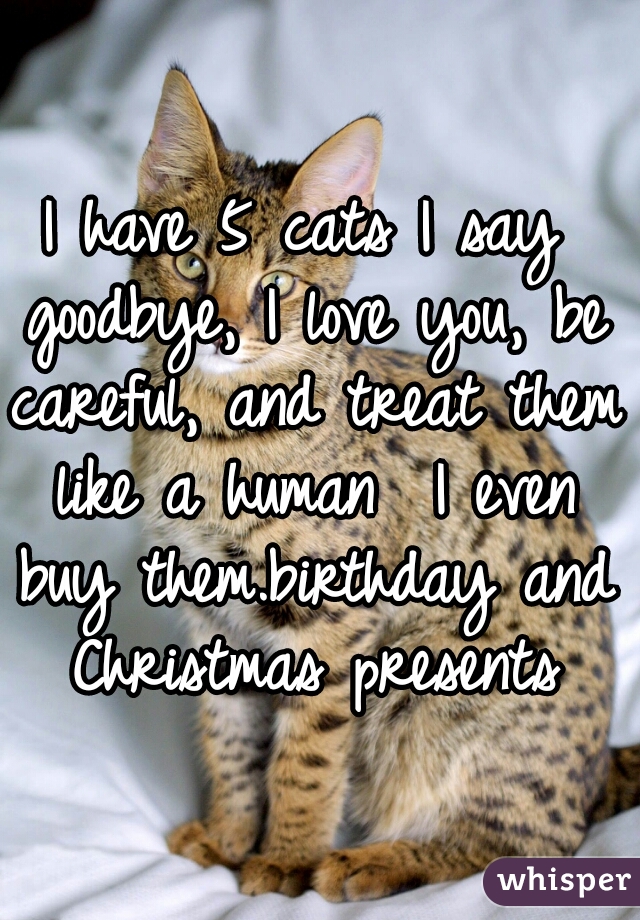 I have 5 cats I say goodbye, I love you, be careful, and treat them like a human  I even buy them.birthday and Christmas presents