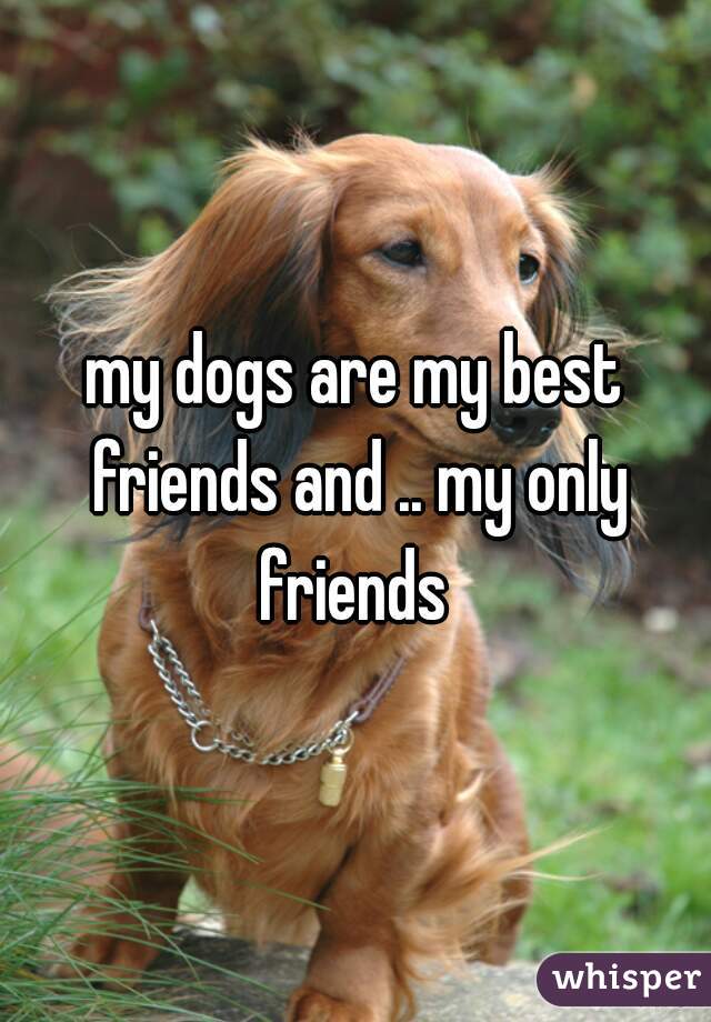 my dogs are my best friends and .. my only friends 