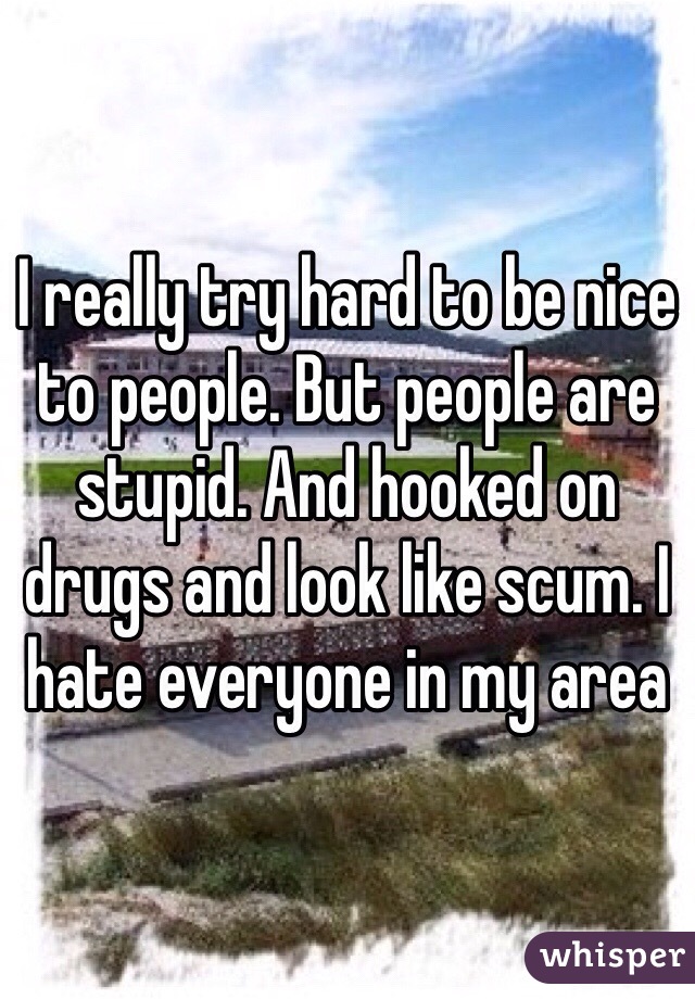 I really try hard to be nice to people. But people are stupid. And hooked on drugs and look like scum. I hate everyone in my area 