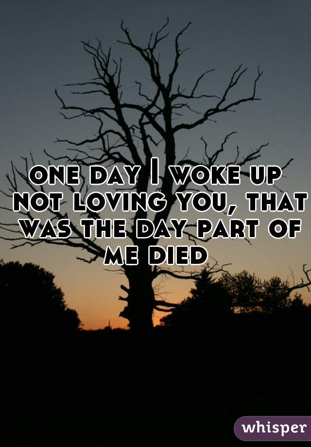 one day I woke up not loving you, that was the day part of me died 