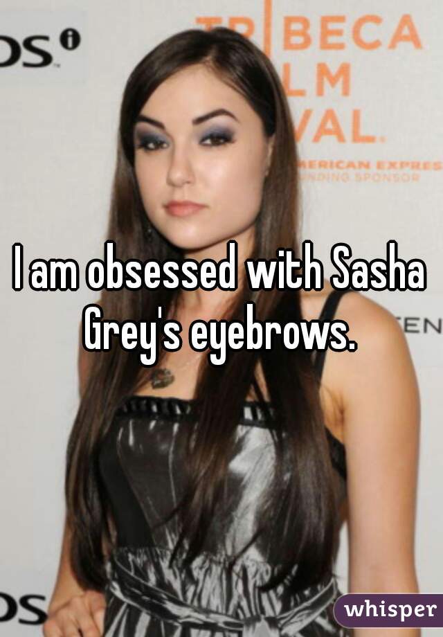 I am obsessed with Sasha Grey's eyebrows. 