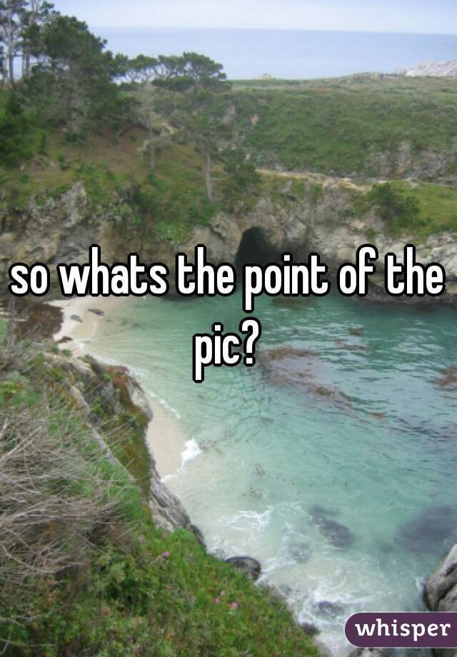 so whats the point of the pic? 