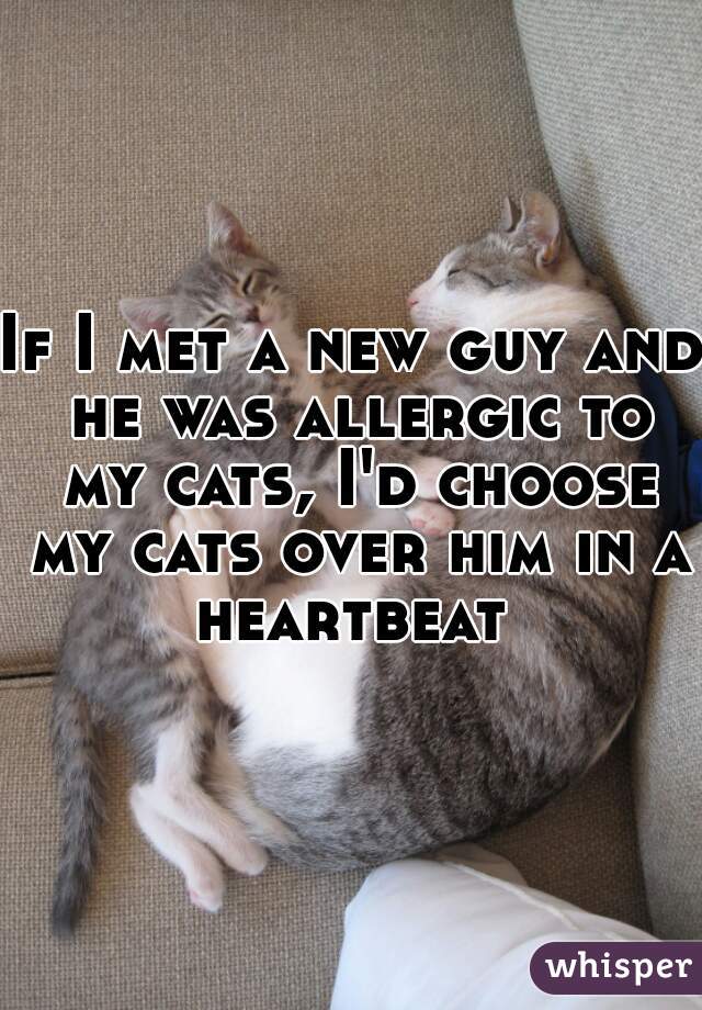 If I met a new guy and he was allergic to my cats, I'd choose my cats over him in a heartbeat 