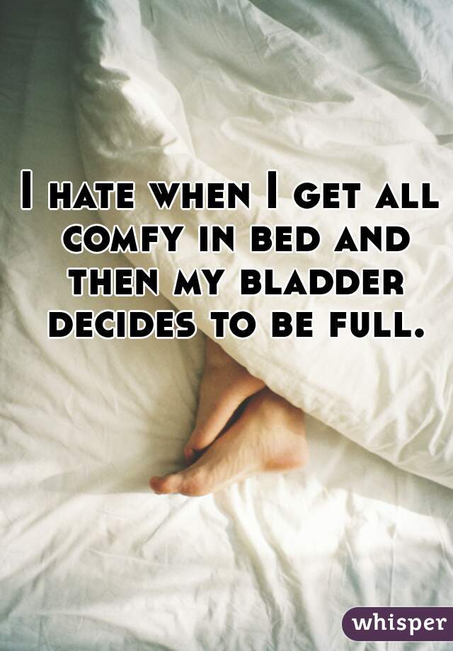 I hate when I get all comfy in bed and then my bladder decides to be full.