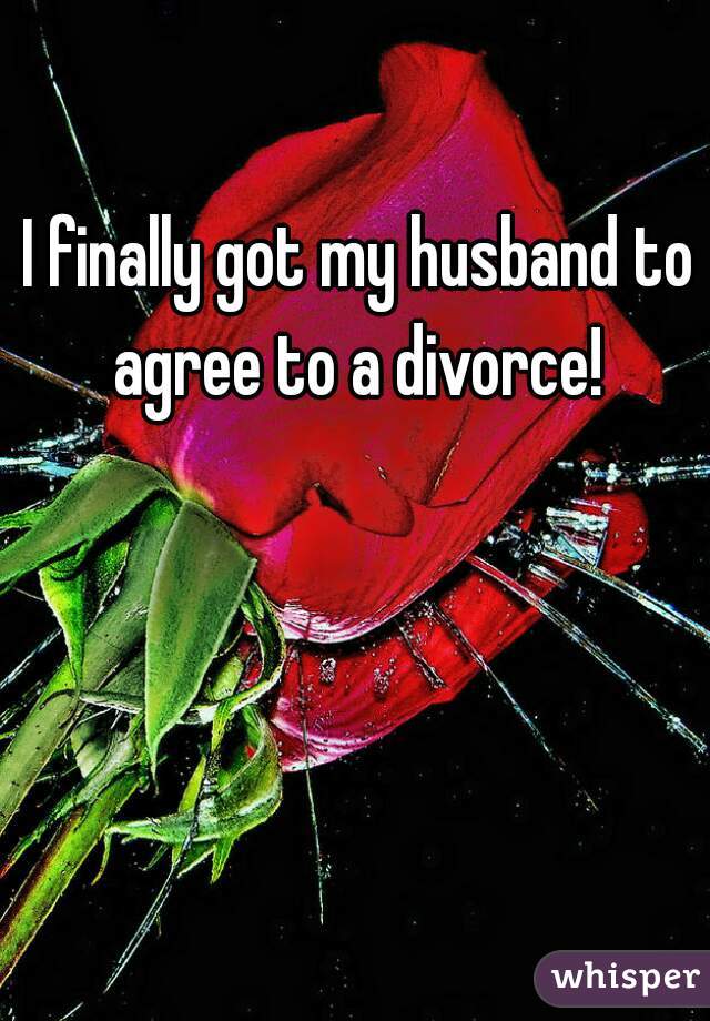 I finally got my husband to agree to a divorce! 