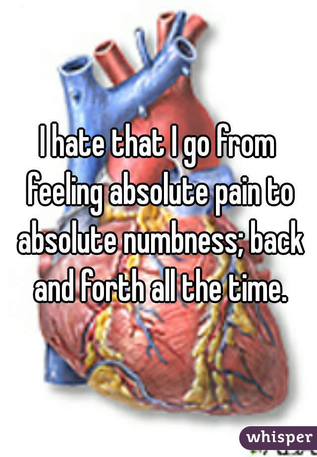 I hate that I go from feeling absolute pain to absolute numbness; back and forth all the time.