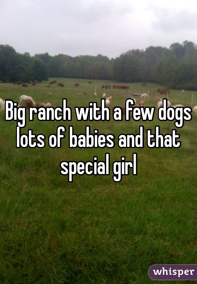 Big ranch with a few dogs lots of babies and that special girl